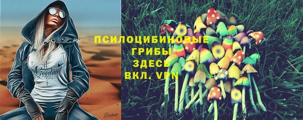 экстази Горняк